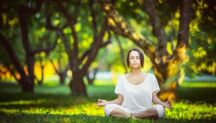 hth-网坛女皇跨界执教？莎拉波娃变阵难阻篮网连败，争议背后暗藏玄机